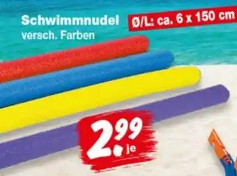 Repo Markt Schwimmnudel Angebot