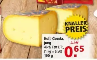 Multi Markt Holl. Gouda, Jung Angebot