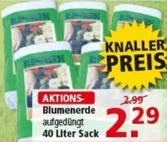 Multi Markt Blumenerde Angebot