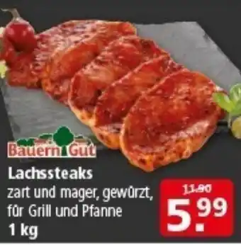 Multi Markt Bauern Gut Lachssteaks Angebot