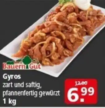 Multi Markt Bauern Gut Gyros Angebot