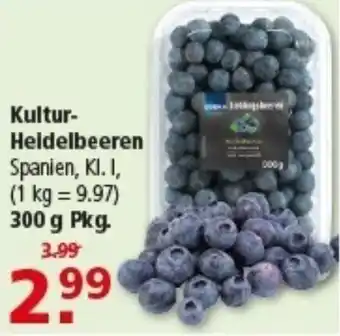 Multi Markt Kultur Heidelbeeren Angebot