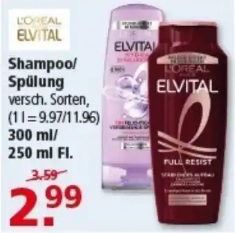 Multi Markt L'oreal elvital shampoo/ spülung Angebot