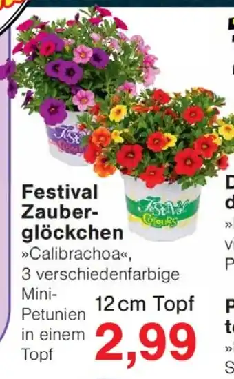 Wiglo Wunderland Festival Zauberglöckchen Angebot