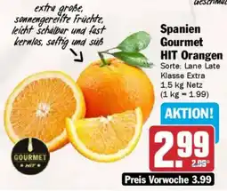 AEZ Spanien Gourmet HIT Orangen Angebot
