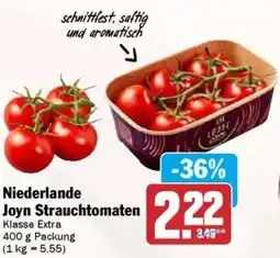 AEZ Niederlande Joyn Strauchtomaten Angebot