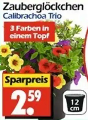 Wreesmann Zauberglöckchen Angebot