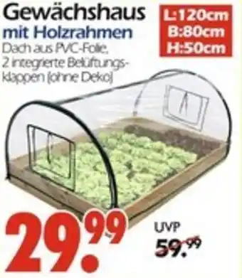Wreesmann Gewächshaus Angebot