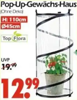Wreesmann Pop-Up-Gewächs-Haus Angebot