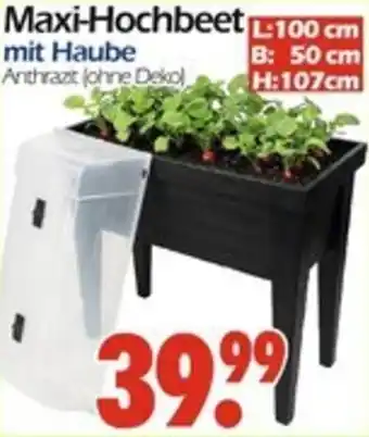 Wreesmann Maxi-Hochbeet Angebot
