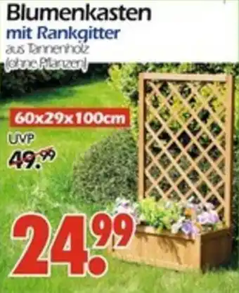 Wreesmann Blumenkasten Angebot