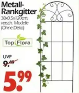 Wreesmann Metall Rankgitter Angebot