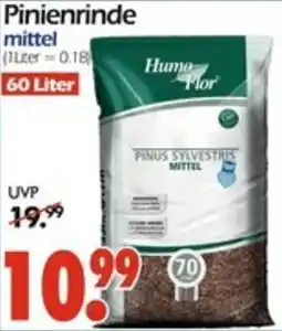 Wreesmann Pinienrinde Angebot