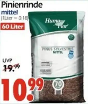 Wreesmann Pinienrinde Angebot