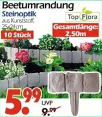 Wreesmann Beetumrandung Angebot