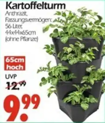 Wreesmann Kartoffelturm Angebot