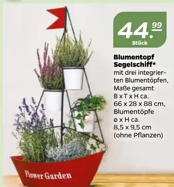 NETTO Blumentopf Segelschiff Angebot