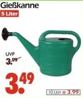 Wreesmann Gießkanne Angebot