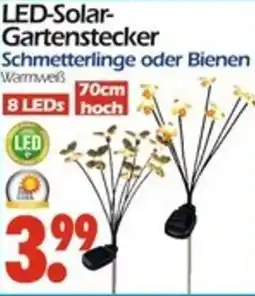 Wreesmann LED-Solar- Gartenstecker Angebot