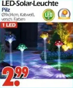 Wreesmann LED-Solar-Leuchte Angebot