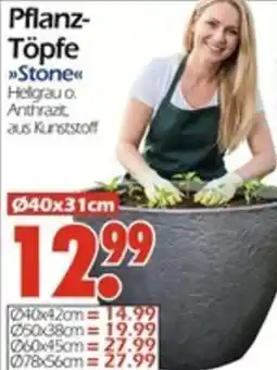 Wreesmann Pflanz- Töpfe Angebot