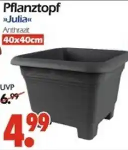 Wreesmann Pflanztopf Julia Angebot