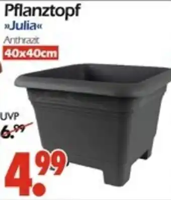 Wreesmann Pflanztopf Julia Angebot