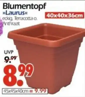 Wreesmann Blumentopf Laurus Angebot