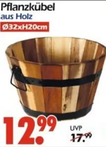 Wreesmann Pflanzkübel Angebot