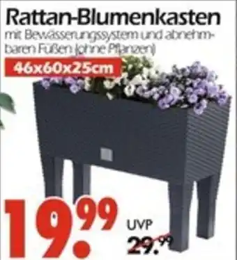 Wreesmann Rattan-Blumenkasten Angebot