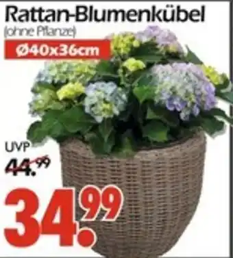 Wreesmann Rattan-Blumenkübel Angebot