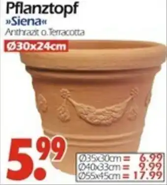 Wreesmann Pflanztopf Siena" Angebot