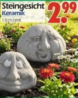 Wreesmann Steingesicht Keramik Angebot