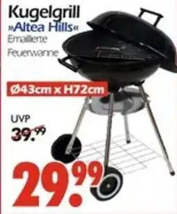 Wreesmann Kugelgrill Altea Hills Angebot