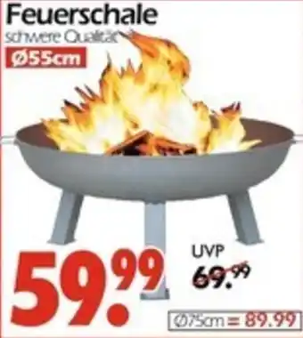 Wreesmann Feuerschale Angebot