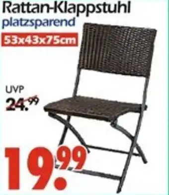 Wreesmann Rattan-Klappstuhl Angebot