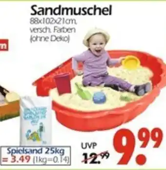 Wreesmann Sandmuschel Angebot
