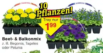Wiglo Wunderland Beet- & Balkonmix Angebot