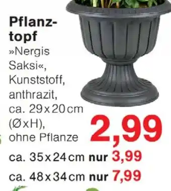 Wiglo Wunderland Pflanztopf Angebot