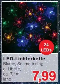 Wiglo Wunderland LED-Lichterkette Angebot