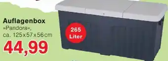 Wiglo Wunderland Auflagenbox Angebot