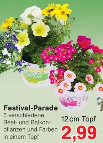 Wiglo Wunderland Festival-Parade Angebot