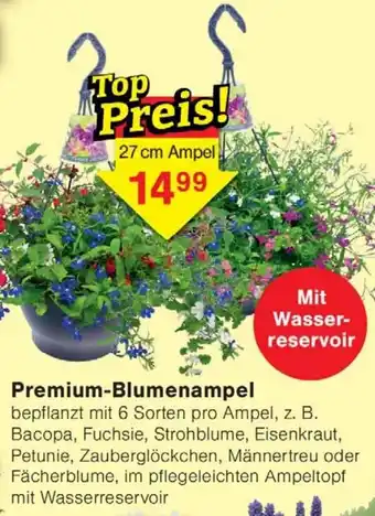 Wiglo Wunderland Premium-Blumenampel Angebot