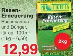 Wiglo Wunderland Rasen Erneuerung Angebot