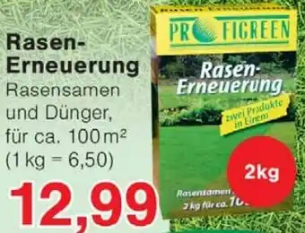 Wiglo Wunderland Rasen Erneuerung Angebot