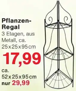 Wiglo Wunderland Pflanzen Regal Angebot