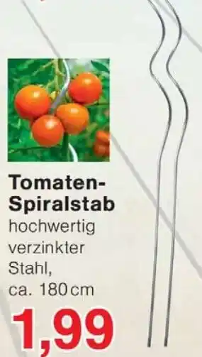 Wiglo Wunderland Tomaten Spiralstab Angebot