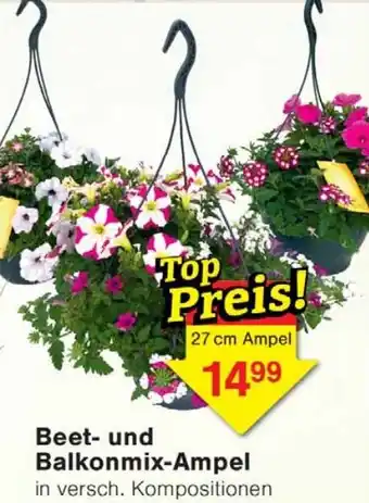 Wiglo Wunderland Beet- und Balkonmix-Ampel Angebot