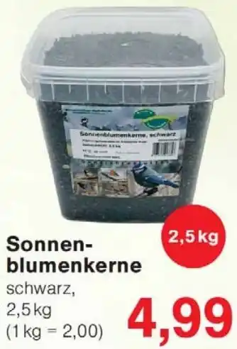 Wiglo Wunderland Sonnenblumenkerne Angebot