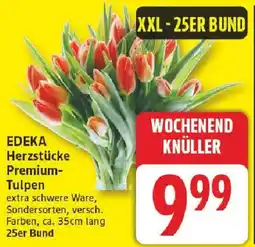 Edeka EDEKA Herzstücke Premium Tulpen Angebot
